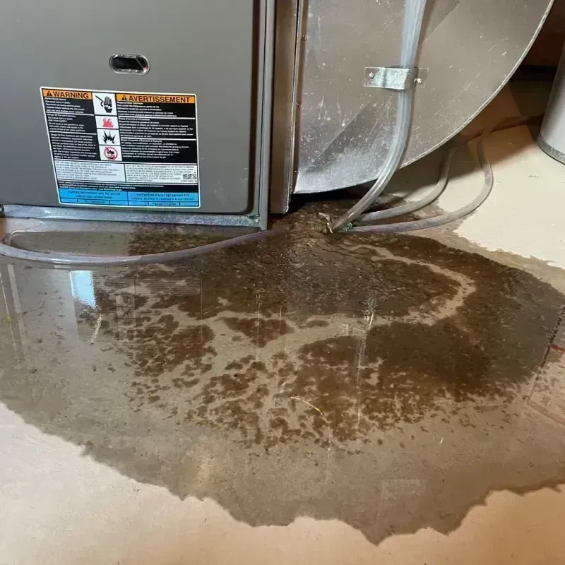 Appliance Leak Cleanup in Saint Charles, MO